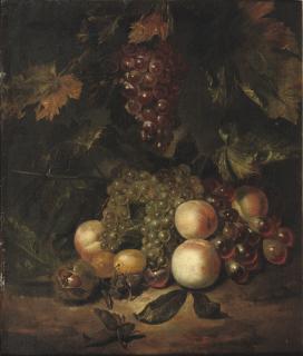 Wilhelm Frederiksz. van Royen - Black and white grapes, peaches, plums, chest- and hazelnuts on a forest floor