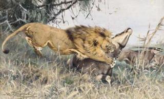 Wilhelm Freidrich Kuhnert - A lion attack; and Springboks on the African plain