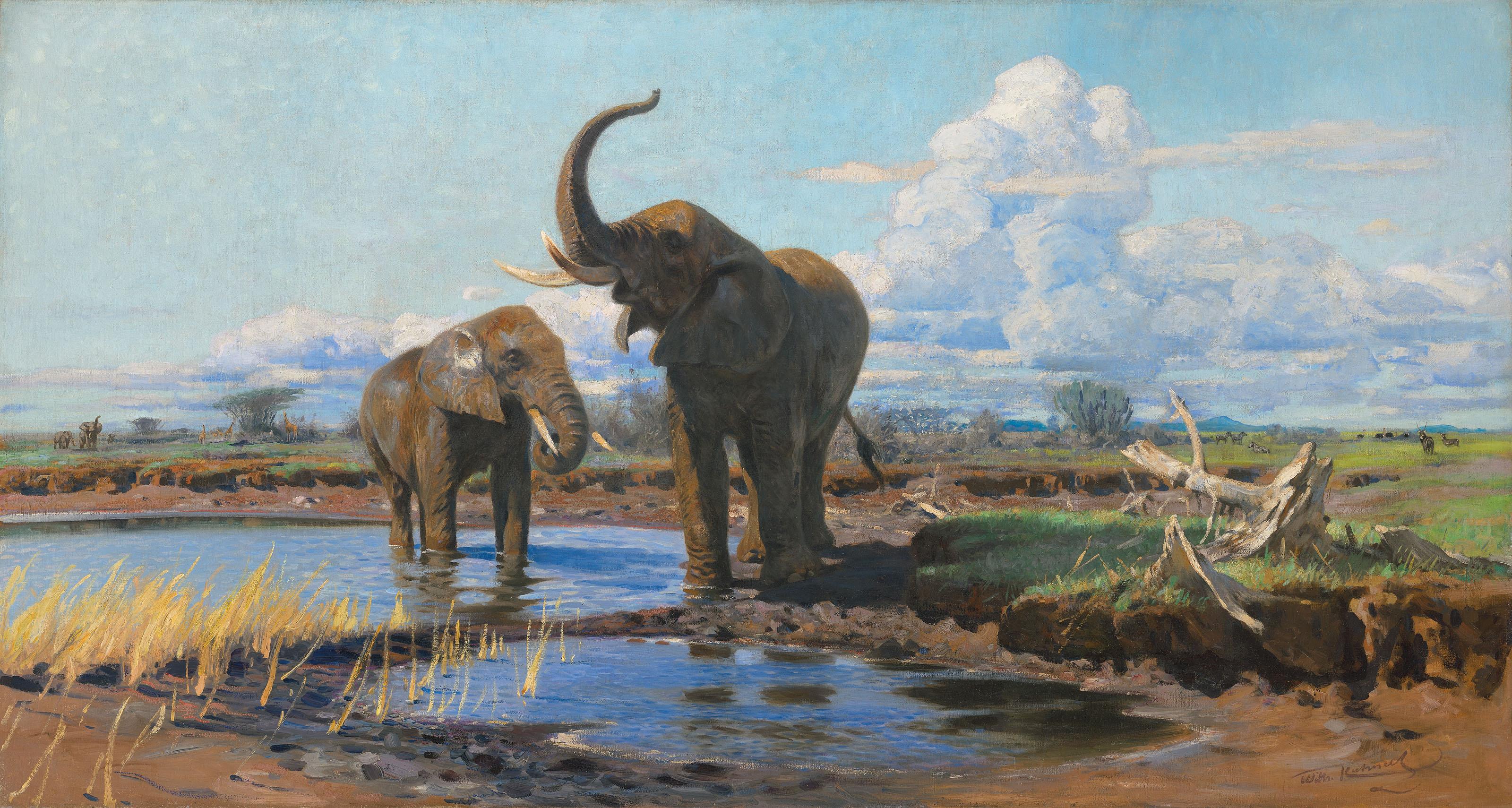 Wilhelm Friedrich Kuhnert - Elephants at a waterhole