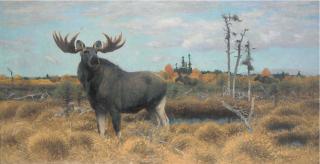 Wilhelm Friedrich Kuhnert - Elks in a Swedish landscape