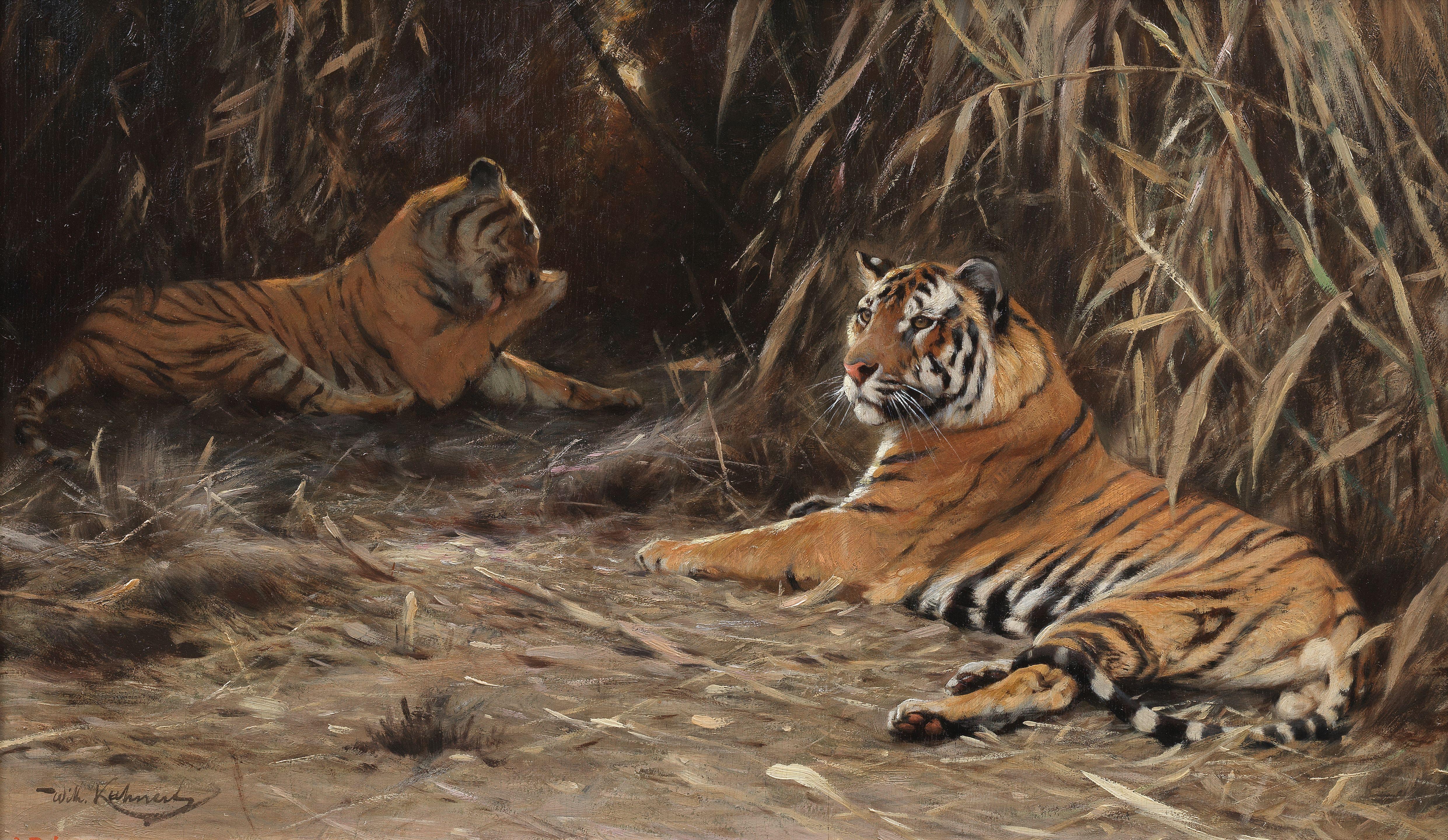 Wilhelm Friedrich Kuhnert - In the Jungle - Tigers