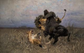 Wilhelm Friedrich Kuhnert - Lions in combat with a Cape buffalo