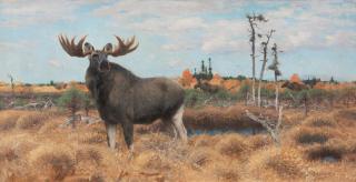 Wilhelm Friedrich Kuhnert - Moose on a Swedish moor