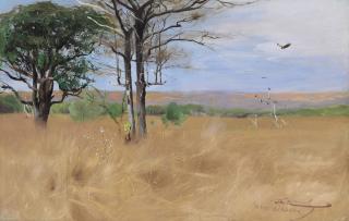 Wilhelm Friedrich Kuhnert - Ost Africa