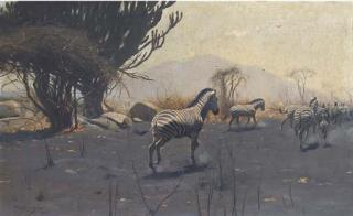 Wilhelm Friedrich Kuhnert - Zebra