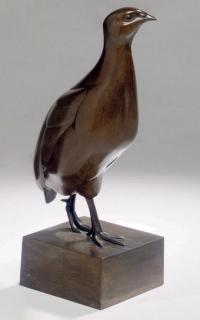 Wilhelm Krieger - Rebhuhn: partridge