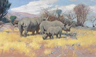Wilhelm Kuhnert - A group of rhinoceros