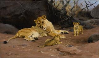 Wilhelm Kuhnert - A Lioness And Her Cubs