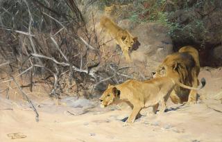 Wilhelm Kuhnert - A Pride of Lions on the Prowl
