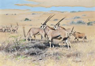 Wilhelm Kuhnert - Antelopes resting on a plain