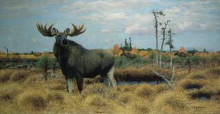 Wilhelm Kuhnert - Elk in Marsh Landscape