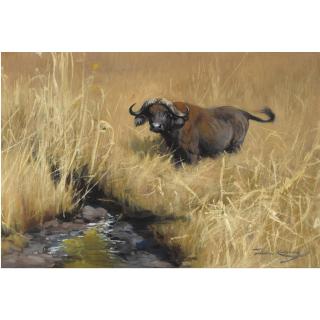 Wilhelm Kuhnert - German büffel An Einer Wasserstelle In Der Savanne (A Water Buffalo At A Watering Hole In The Savannah)