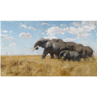 Wilhelm Kuhnert - German elefanten Auf Der Wanderung (Elephants On The Move)
