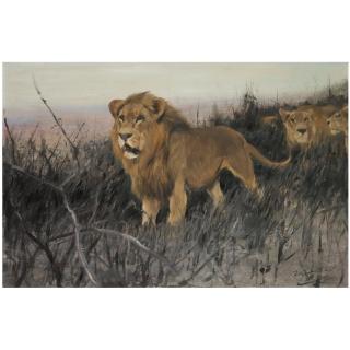 Wilhelm Kuhnert - German Löwen In Verbrannter Steppe (Lions In A Burnt Steppe)
