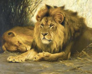 Wilhelm Kuhnert - German Resting Lions