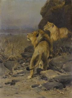 Wilhelm Kuhnert - German two Lions At Watch