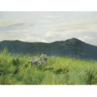 Wilhelm Kuhnert - German Zebras In Der Steppe (Zebra On The Steppe)