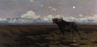 Wilhelm Kuhnert - In The Marsh - A Cape Buffalo