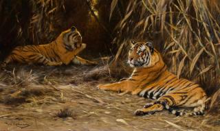 Wilhelm Kuhnert - Tigers in the Jungle
