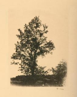 Wilhelm Leibl - Der große Baum.