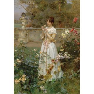 Wilhelm Menzler - German the Rose Of All Roses