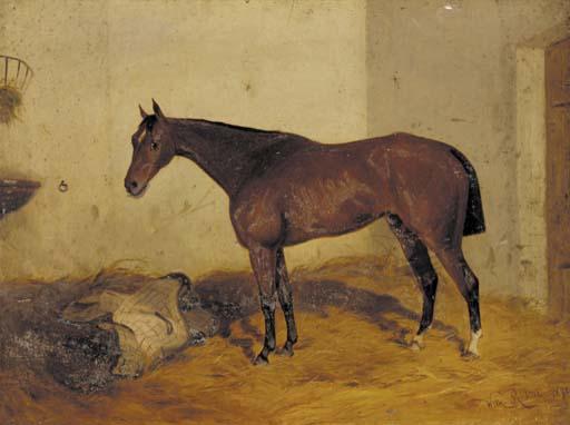 Wilhelm Richter - A bay hunter in a stable
