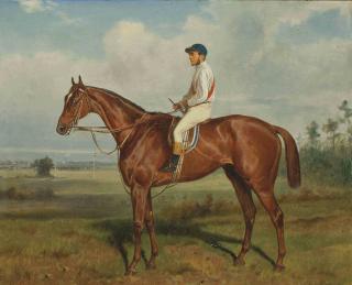 Wilhelm Richter - Véronica