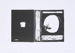 Wilhelm Sasnal - Unexisting Book.