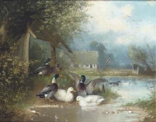 Wilhelm Scheurer - The duck pond