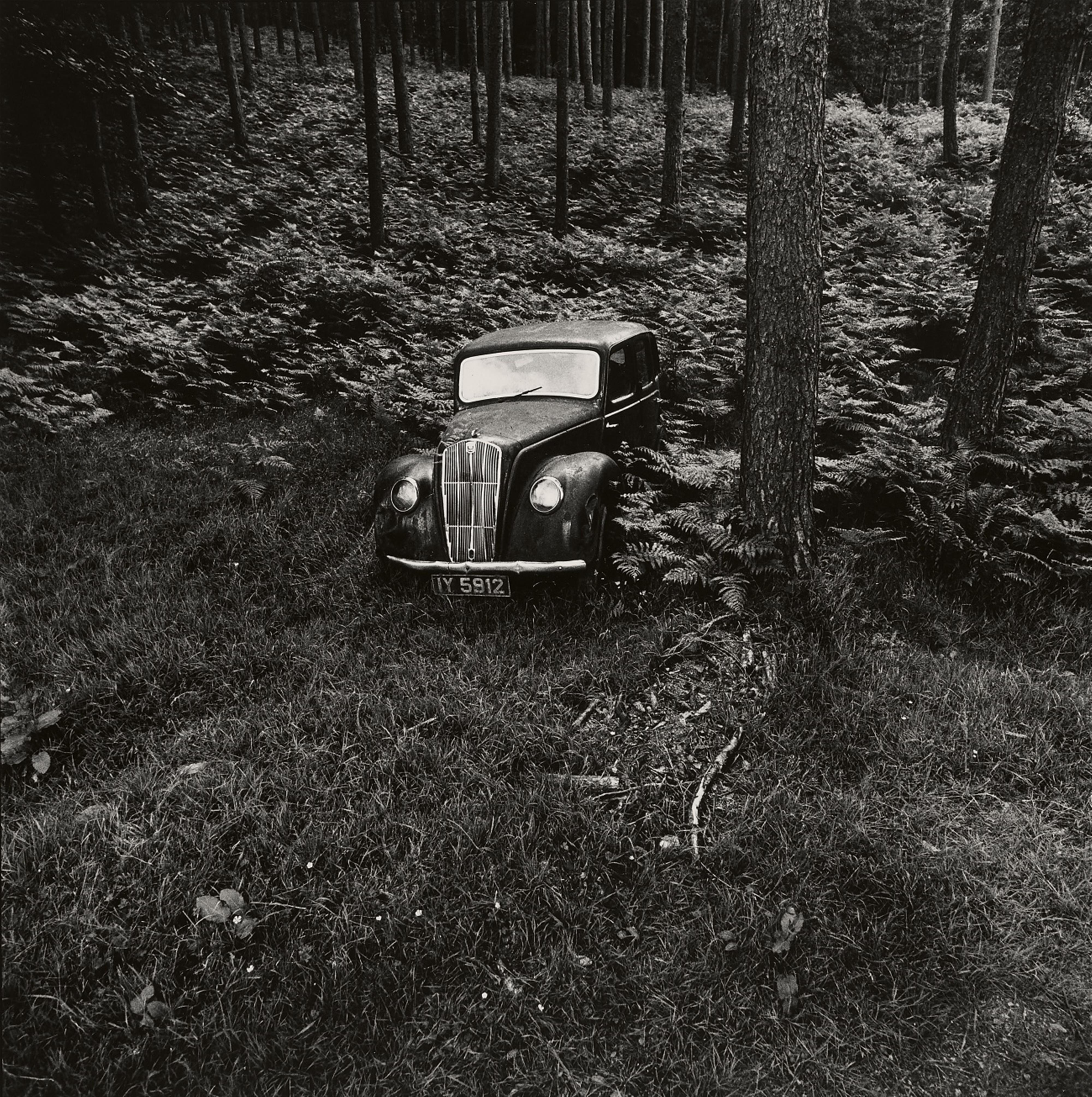 Wilhelm Schürmann - Irland