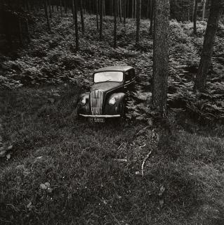 Wilhelm Schürmann - Irland