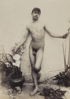 Wilhelm von Gloeden - Ohne Titel