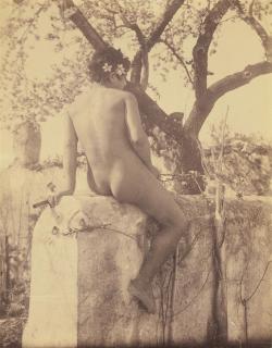 Wilhelm von Gloeden - Ohne Titel