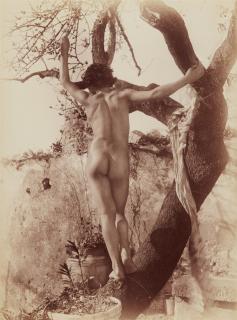 Wilhelm von Gloeden - Ohne Titel