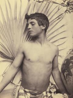 Wilhelm von Gloeden - Ohne Titel