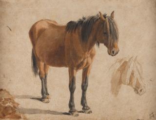 Wilhelm von Kobell - Studie eines Pferdes, daneben Wiederholung des Kopfes.