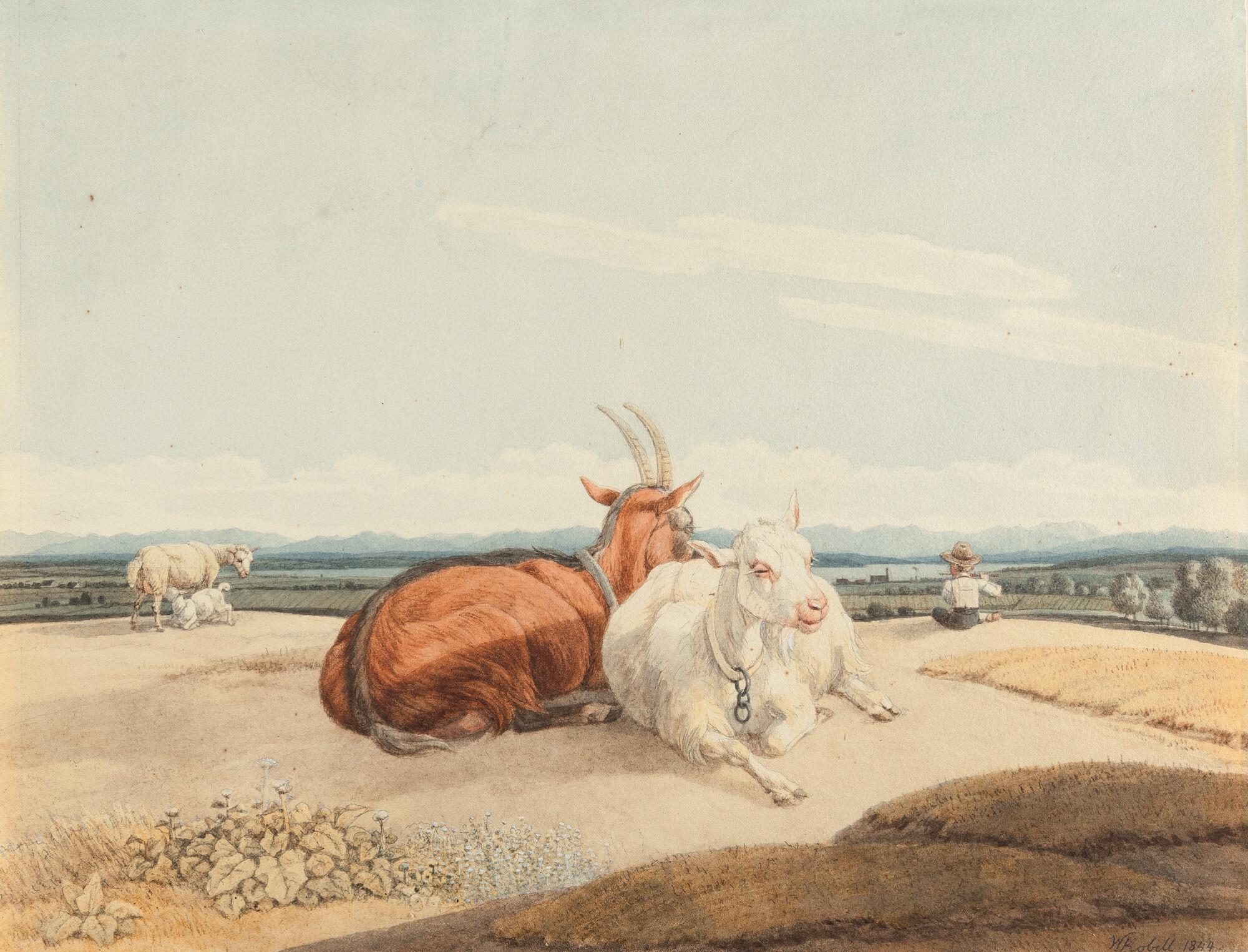 Wilhelm von Kobell - Ziegen am Ammersee