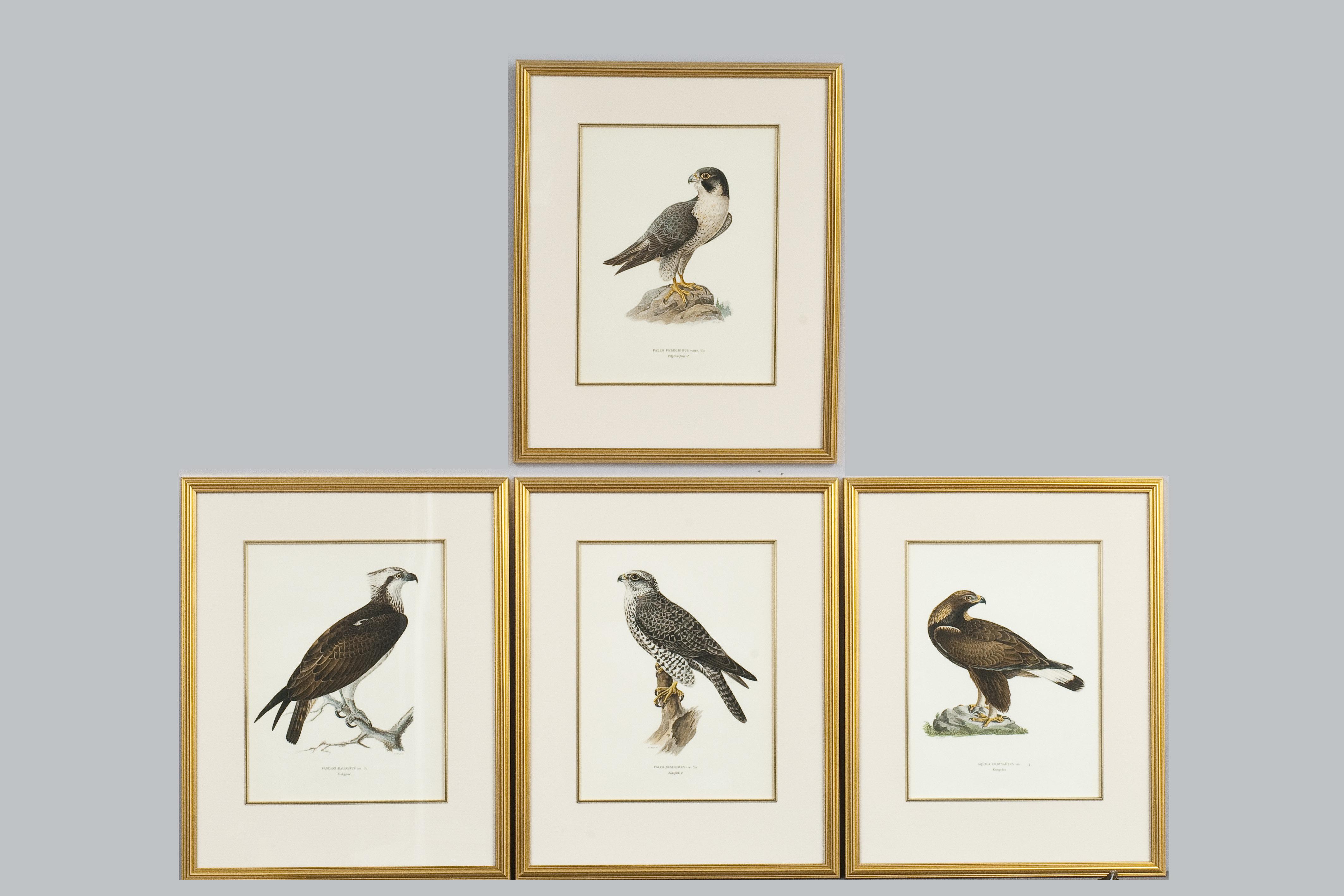 Wilhelm von Wright - Lithographs, 4 St.