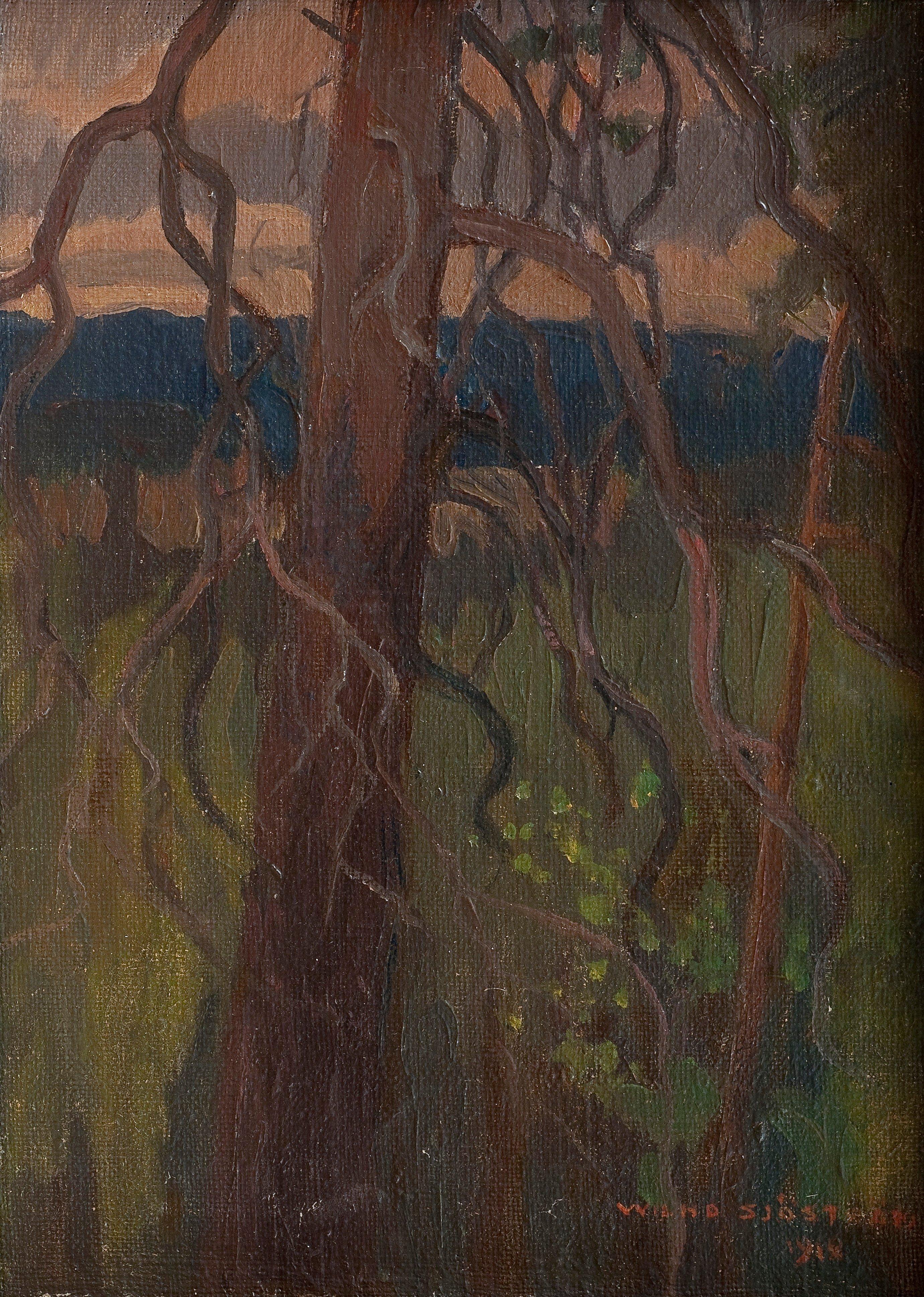 Wilho Sjöström - An Old Tree.