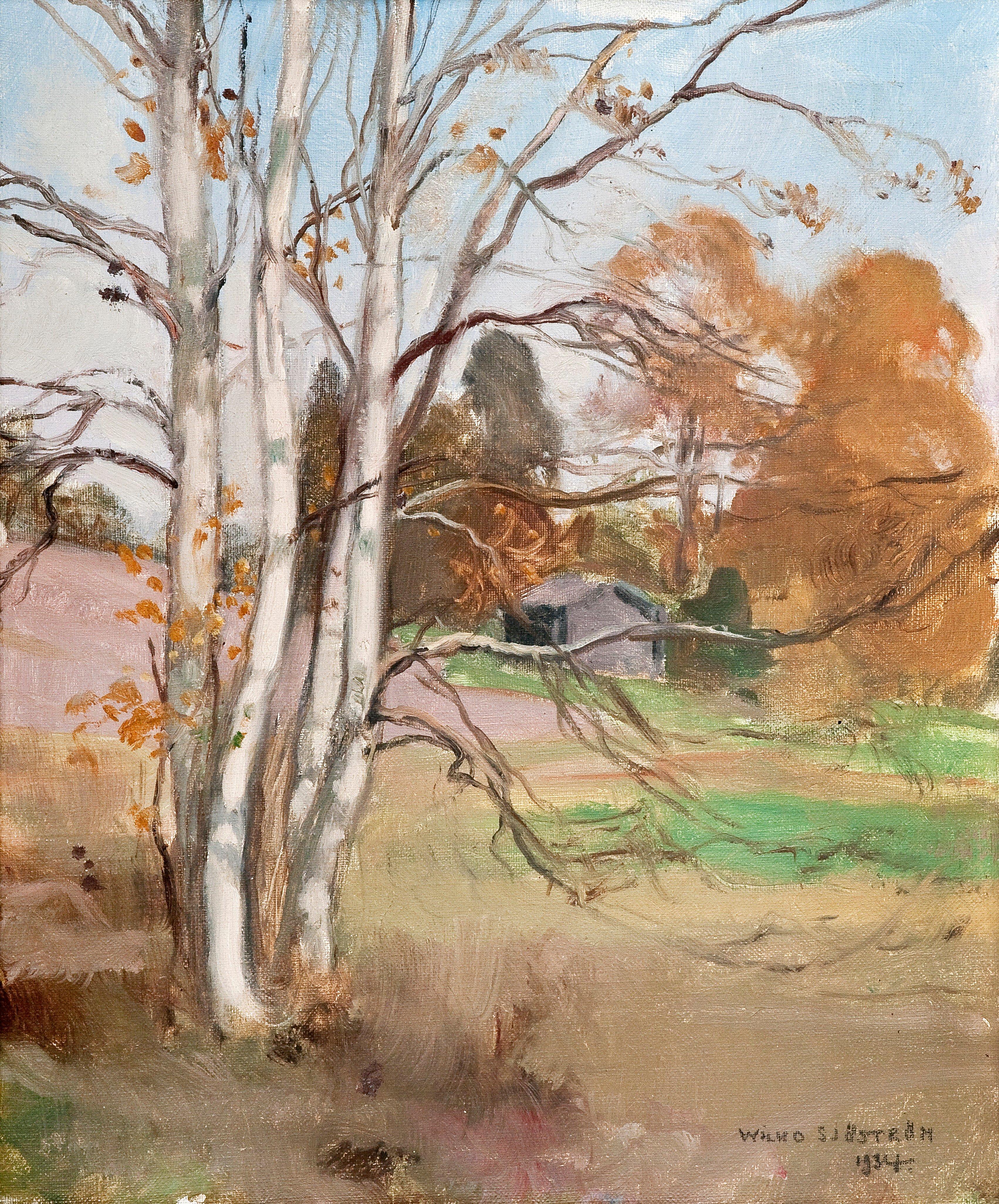 Wilho Sjöström - Autumn Birches.