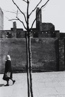 Will McBride - Baum und Frau, Berlin