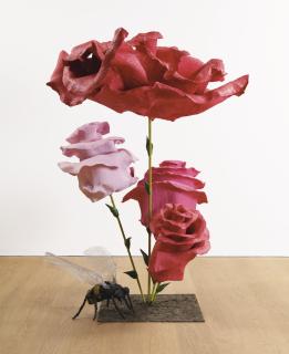 Will Ryman - Rose 42 With Bee