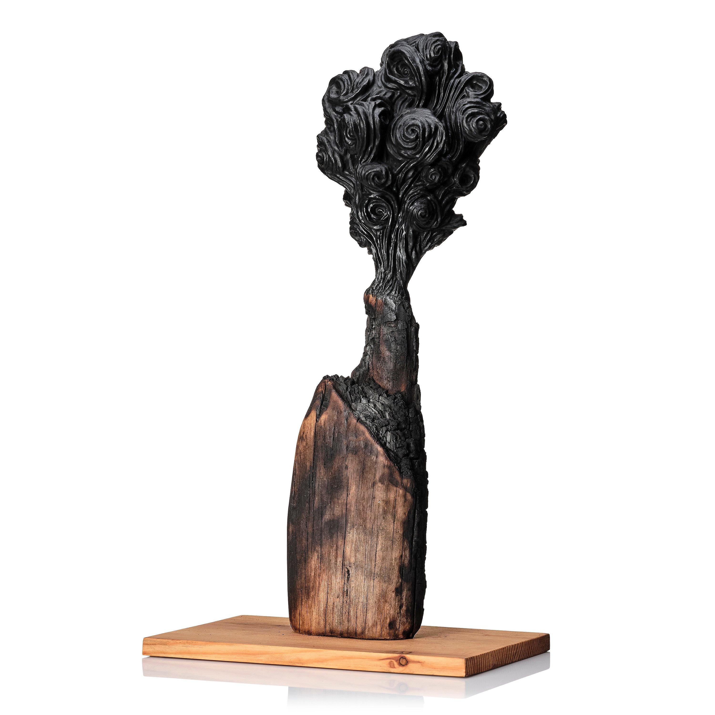 Willem Andersson - \