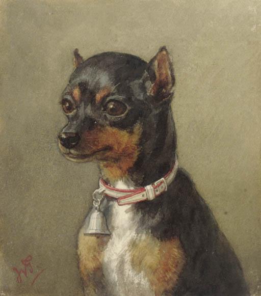 Willem De Famars Testas - A Portrait Of A Dog