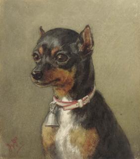 Willem De Famars Testas - A Portrait Of A Dog