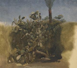 Willem De Famars Testas - Study of a cactus, and trees behind