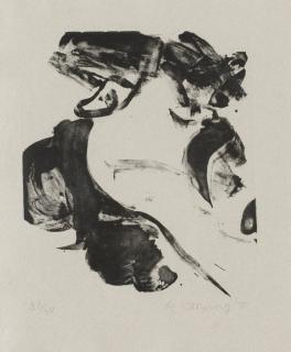 Willem de Kooning - \