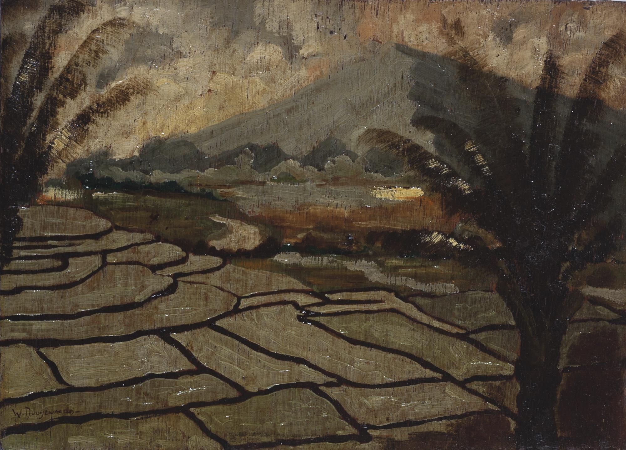 Willem Dooijewaard - Padi Fields 