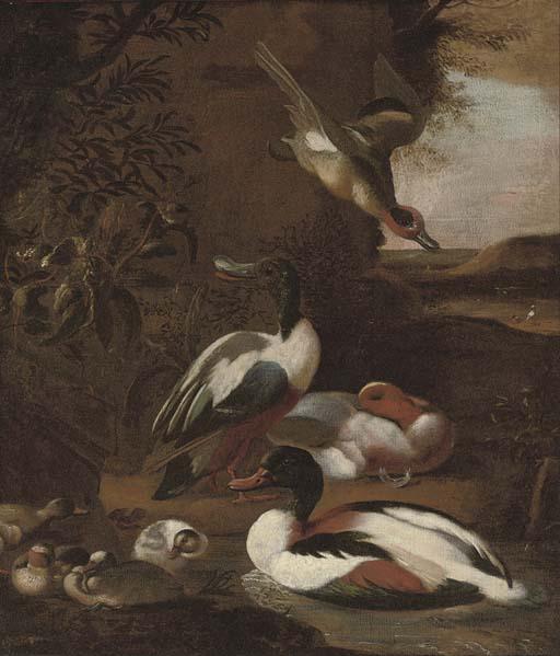 Willem Frederik van Royen - Ducks in a landscape