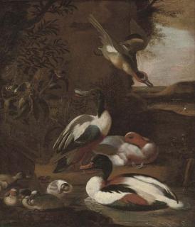 Willem Frederik van Royen - Ducks in a landscape